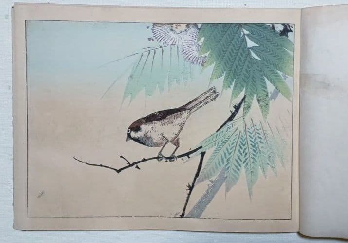 稀省亭版画花鳥画帖12図柄入り渡辺省亭画、明治後期頃芸艸堂出版
