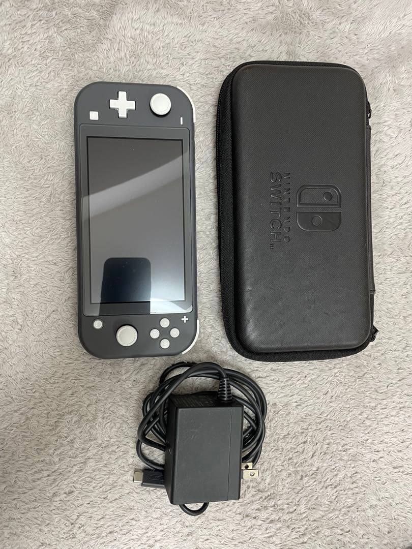 Nintendo Switch Lite グレー 本体&充電器付&専用ケース付