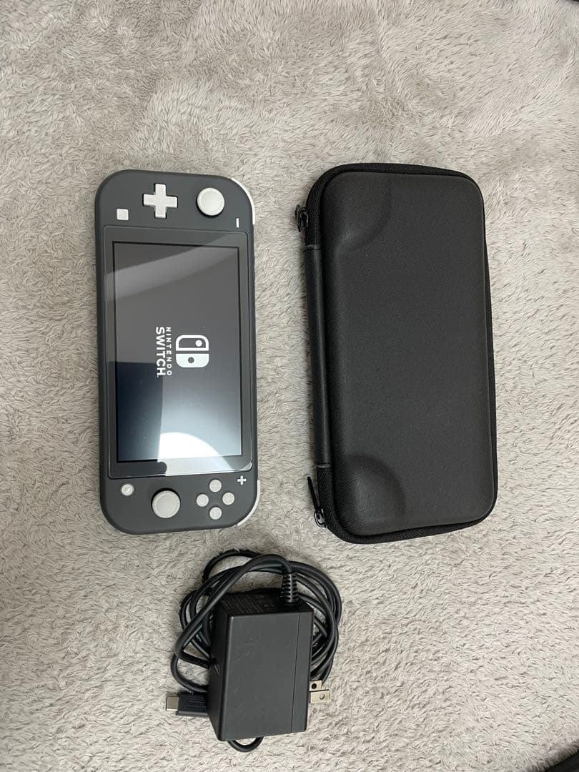 Nintendo Switch Lite グレー 本体&充電器付&専用ケース付