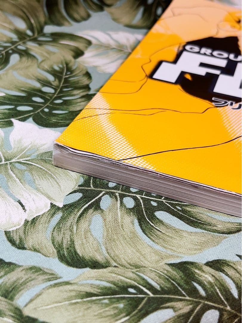 希少 レア本 フリクリ原画集 FLCL ガイナックス