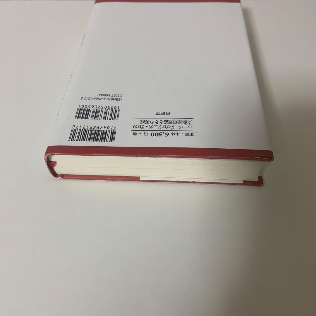 ハーバード・プロジェクト・ゼロの芸術認知理論とその実践