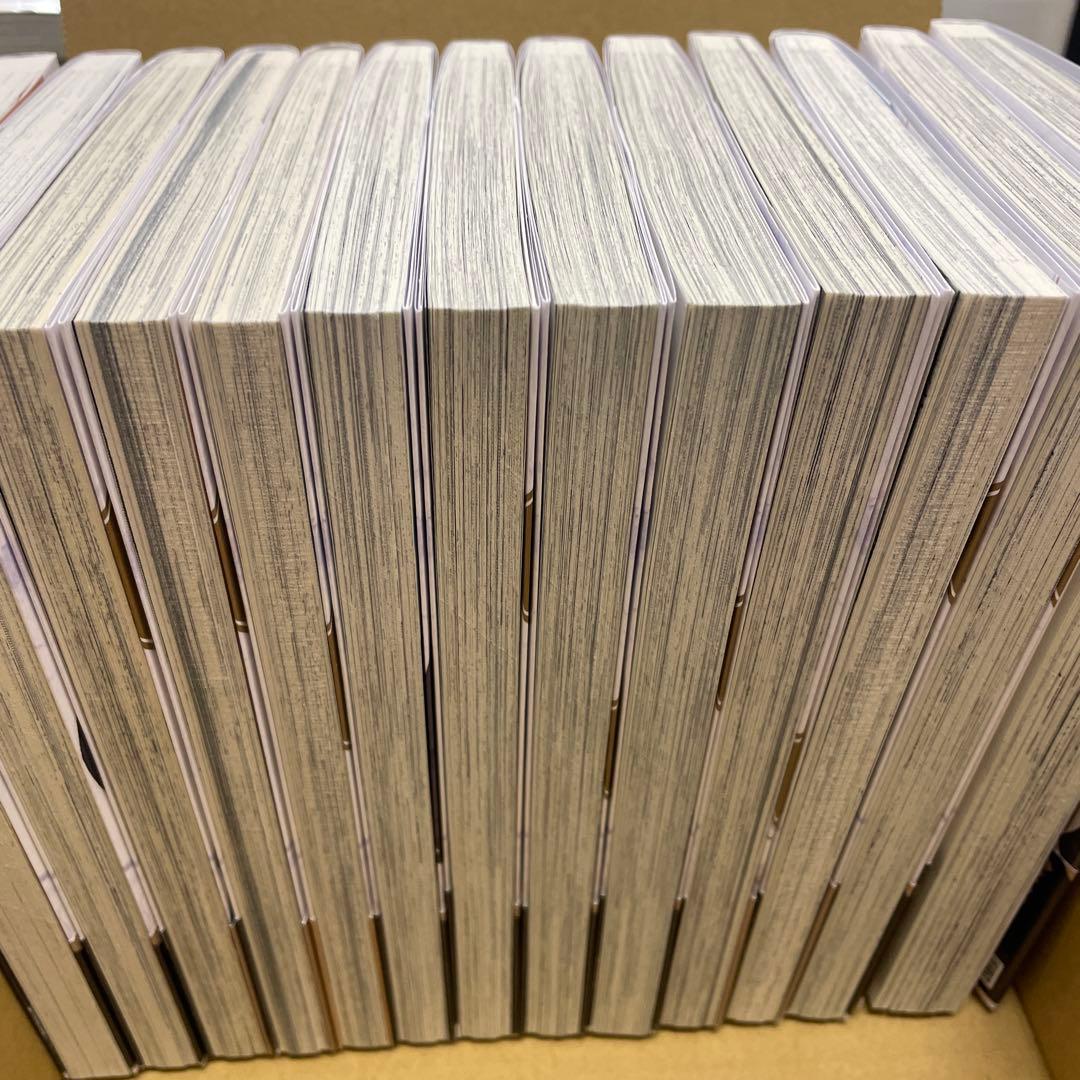 穏やか貴族の休暇のすすめ　13巻