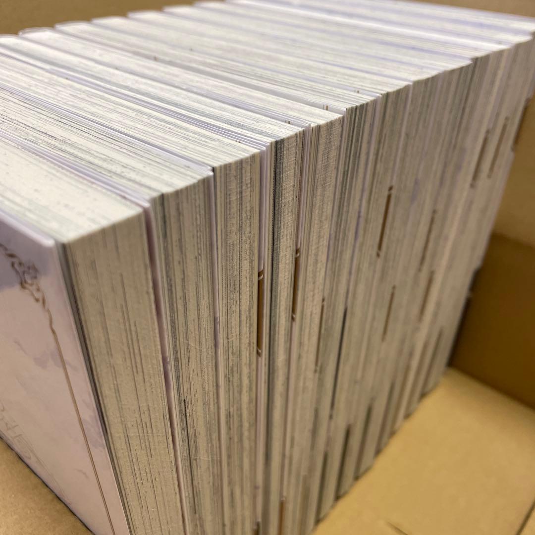 穏やか貴族の休暇のすすめ　13巻