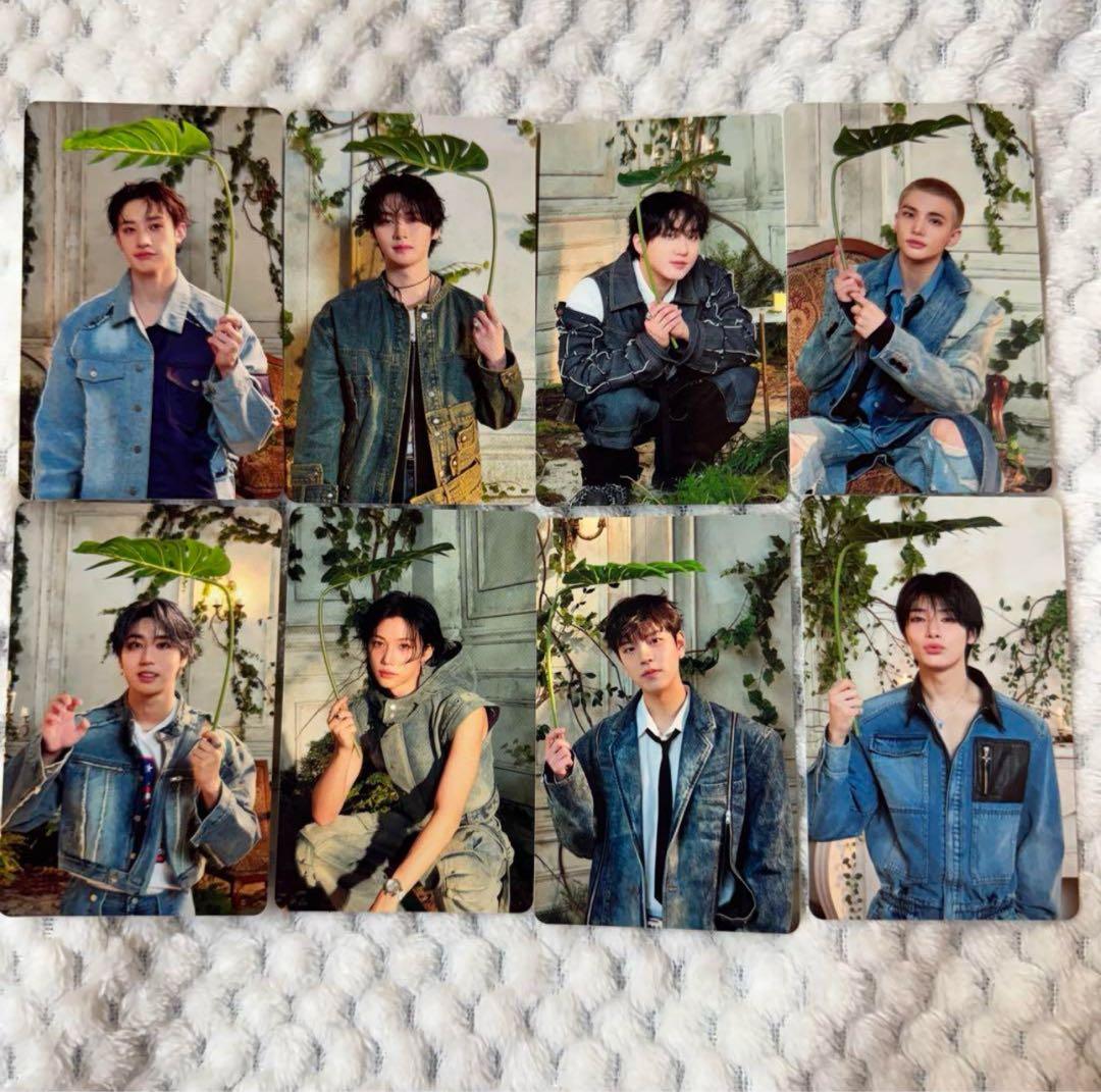 スキズ STRAY KIDS HOLLOW A 封入 トレカ 8種コンプ