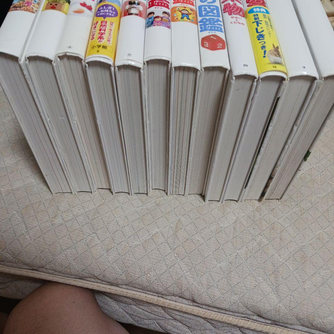 小学館の子ども図鑑　プレNEO　他　セット