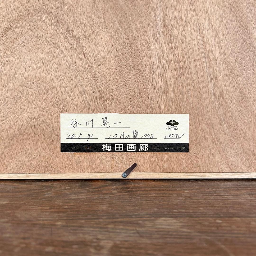 【最終値下げ】美品 谷川晃一「10月の翼」パステル画 1998年 額縁 絵本作家