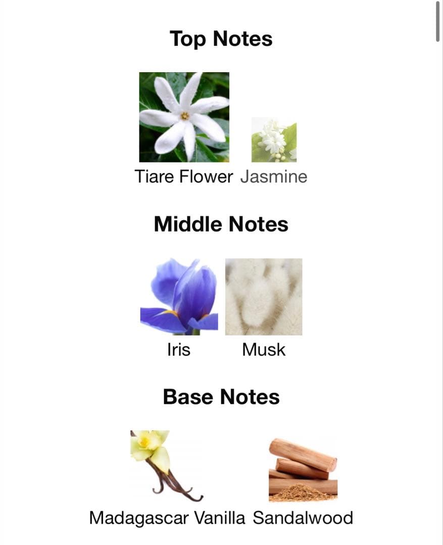 Mizensir Poudre d'Or 100ml オードパルファム