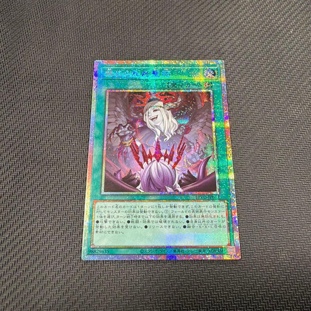 禁じられた聖冠　プリシク