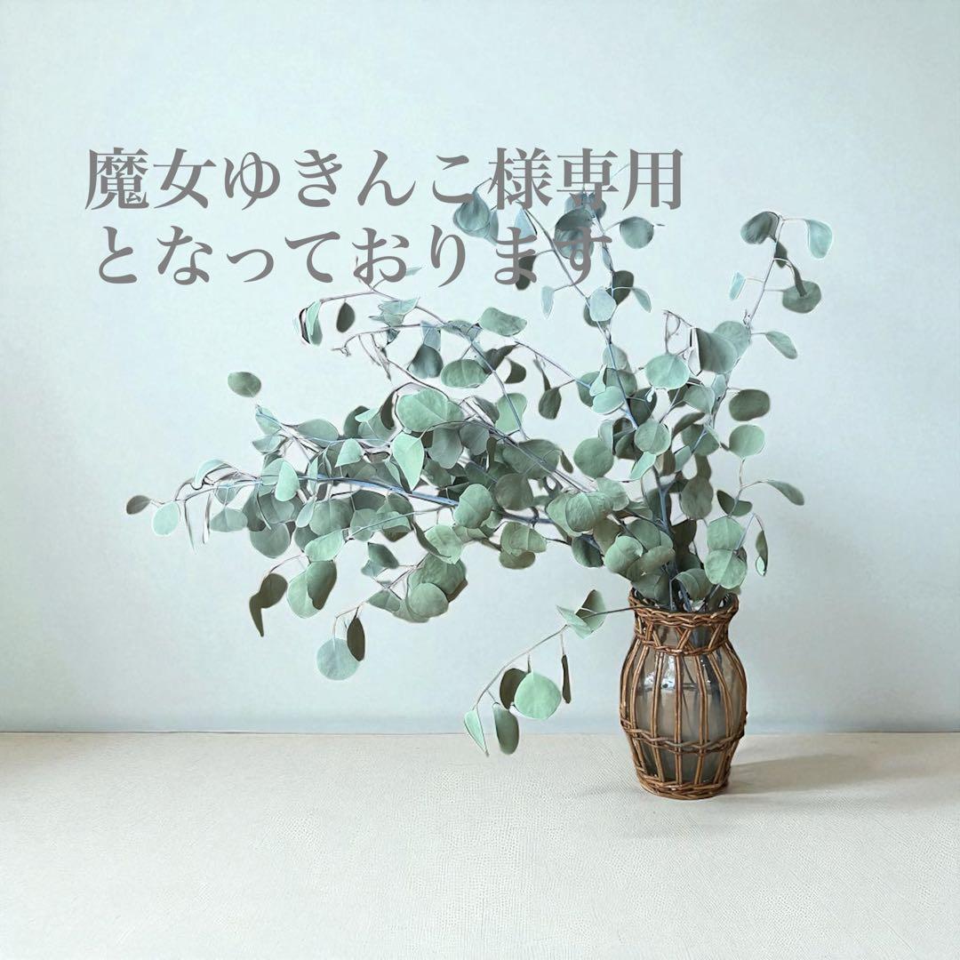 魔女ゆきんことなっております