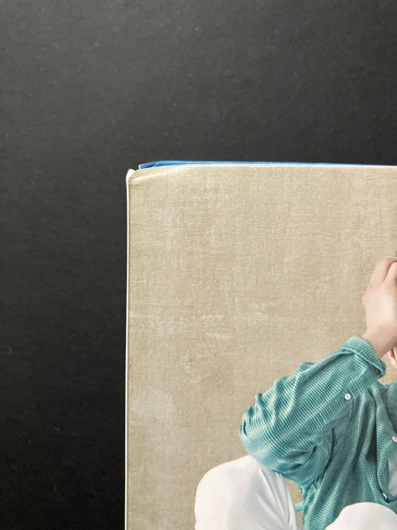 韓国ドラマ　あやしいパートナーOST　チチャンウク　2CD