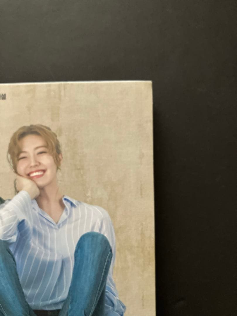 韓国ドラマ　あやしいパートナーOST　チチャンウク　2CD