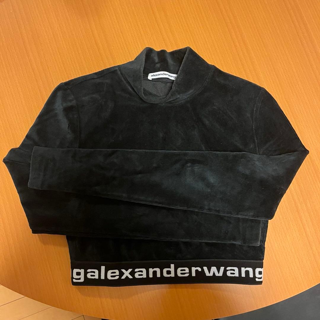 alexanderwang クロップド トップス