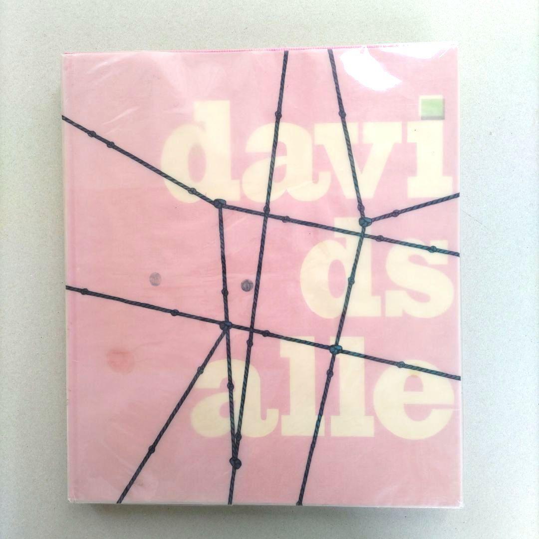David Salle:davids alle/デヴィッド・サーレ 作品集