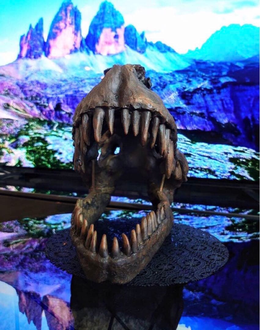 ✨大迫力✨ ティラノサウルス 恐竜の化石 頭骨 インテリア ジュラシックワールド