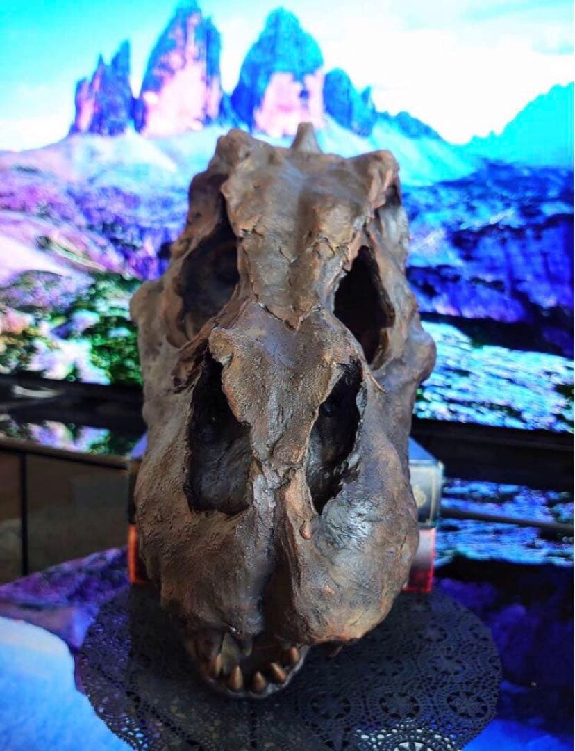 ✨大迫力✨ ティラノサウルス 恐竜の化石 頭骨 インテリア ジュラシックワールド