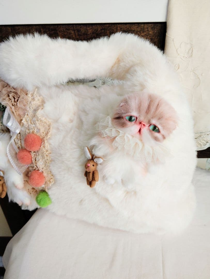 ベビー猫ちゃんのファーバッグ❤エキゾチック❤子猫ちゃん❤