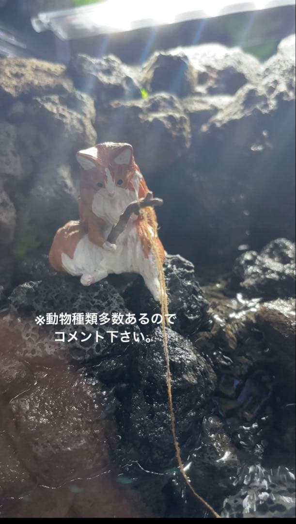 アクアテラリウム　　溶岩石　No.3　※傷あり特価※