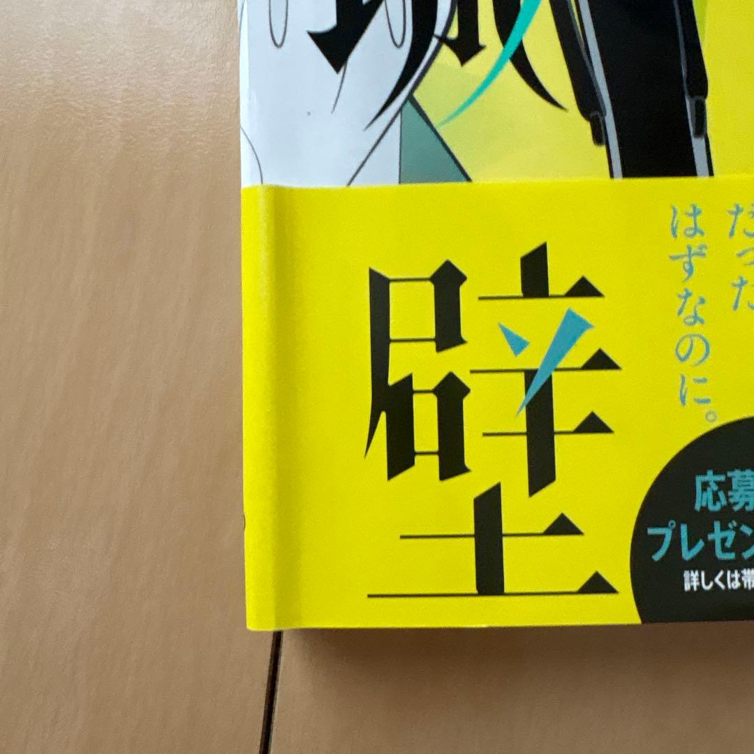 氷の城壁 1-11巻セット / あと3冊で完結！