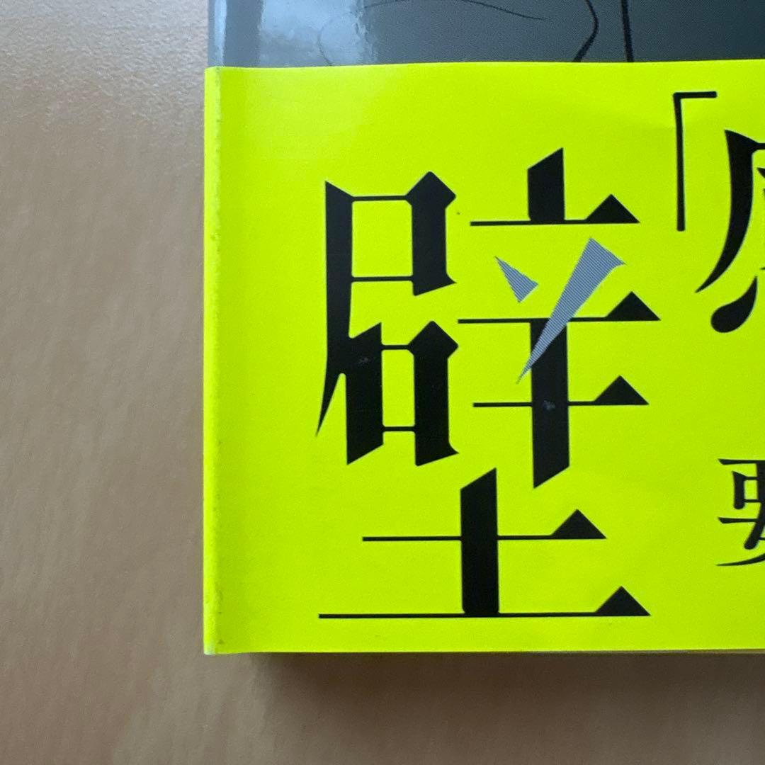 氷の城壁 1-11巻セット / あと3冊で完結！