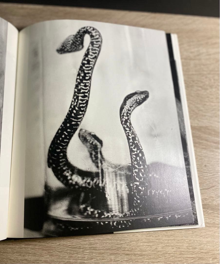 Christer Stromholm Poste Restante 洋書写真集