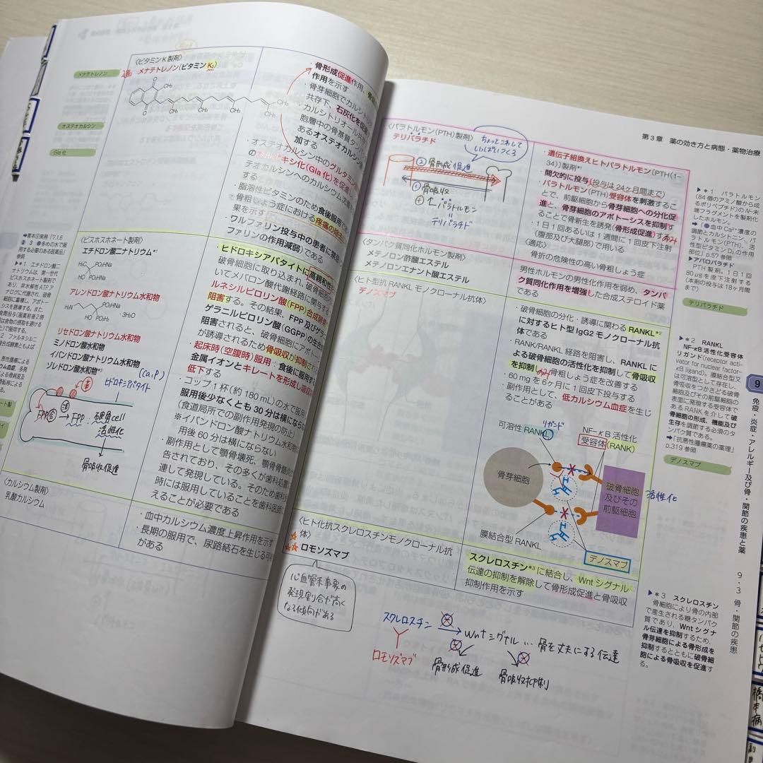 薬学ゼミナール第110回薬剤師国家試験対策参考書 青本・青問全巻セット 表紙付き