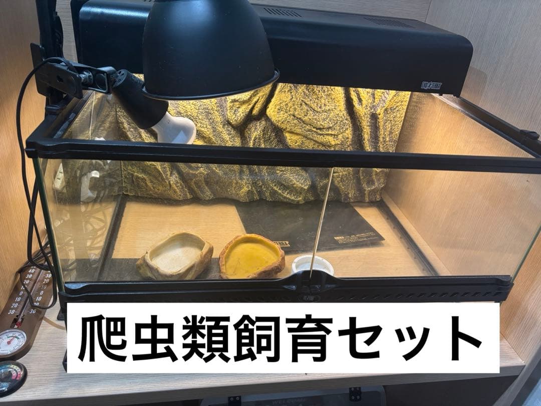 爬虫類飼育セット グラステラリウム6030＋ライト・食器類付き