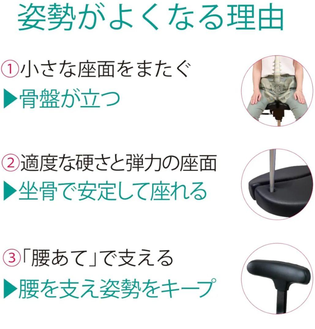 【美品】アーユルチェアー　オクトパス　キャスタータイプ（ブラック）