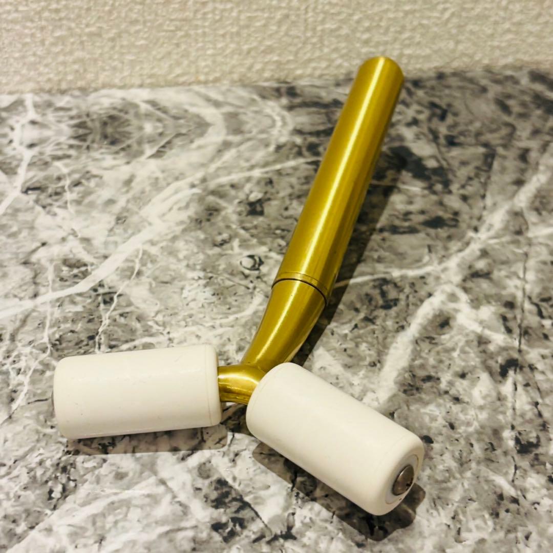 VEGA イオンローラー