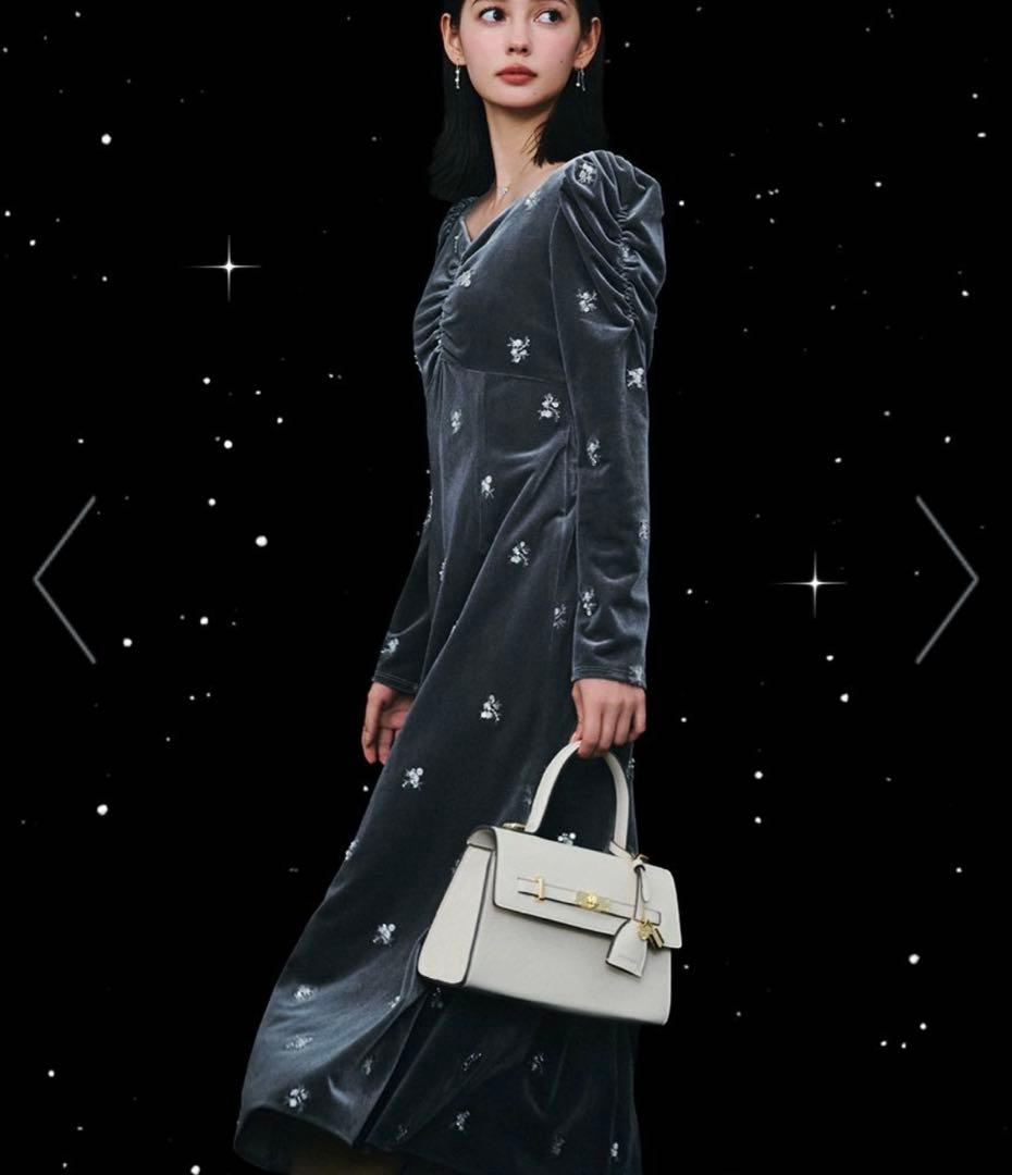 花柄刺繍ベロアワンピース celford タグ付き　新品　最終価格