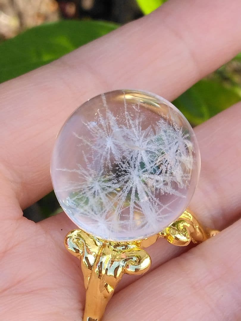 超超超絶希少❇龍神ξ白龍神の功徳✬金財運✬健康運✬置物