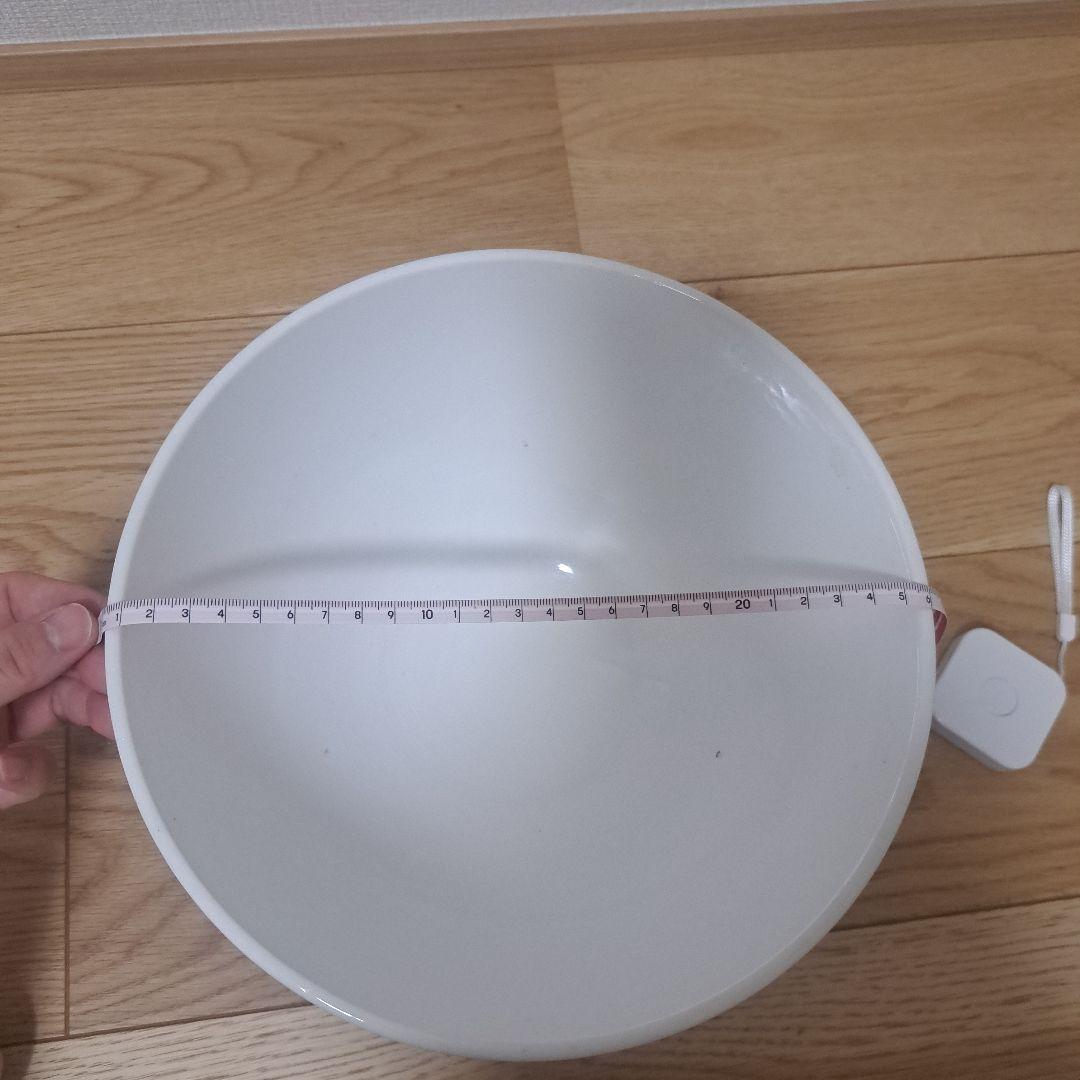 オランダ　アンティーク　ヴィンテージ　ボウル　特大