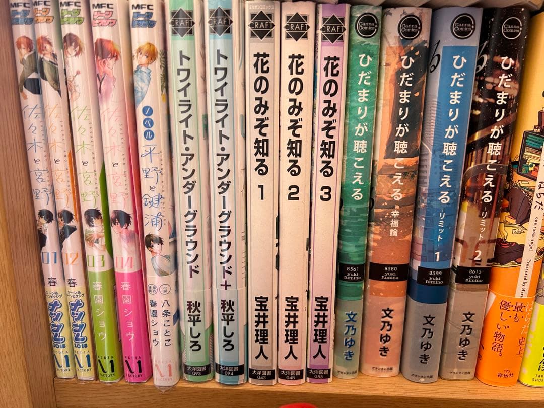 商業　BL コミック　漫画　小説　まとめ売り　バラ売り