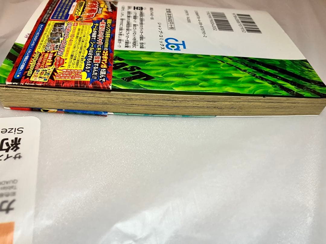 ビーストサーガ = BEAST SAGA 4 (ソアラ聖国)