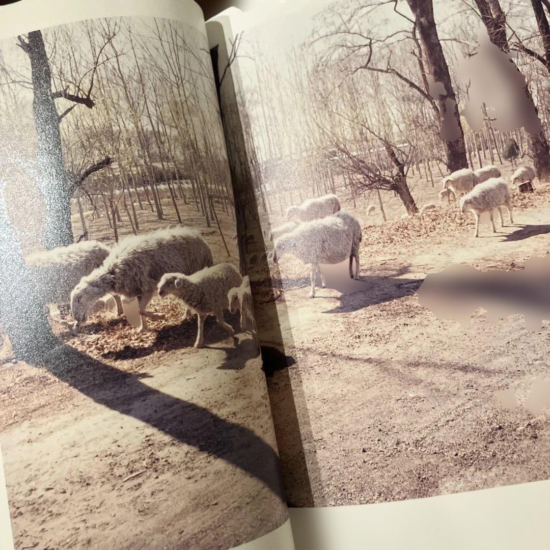 上田義彦　旅情