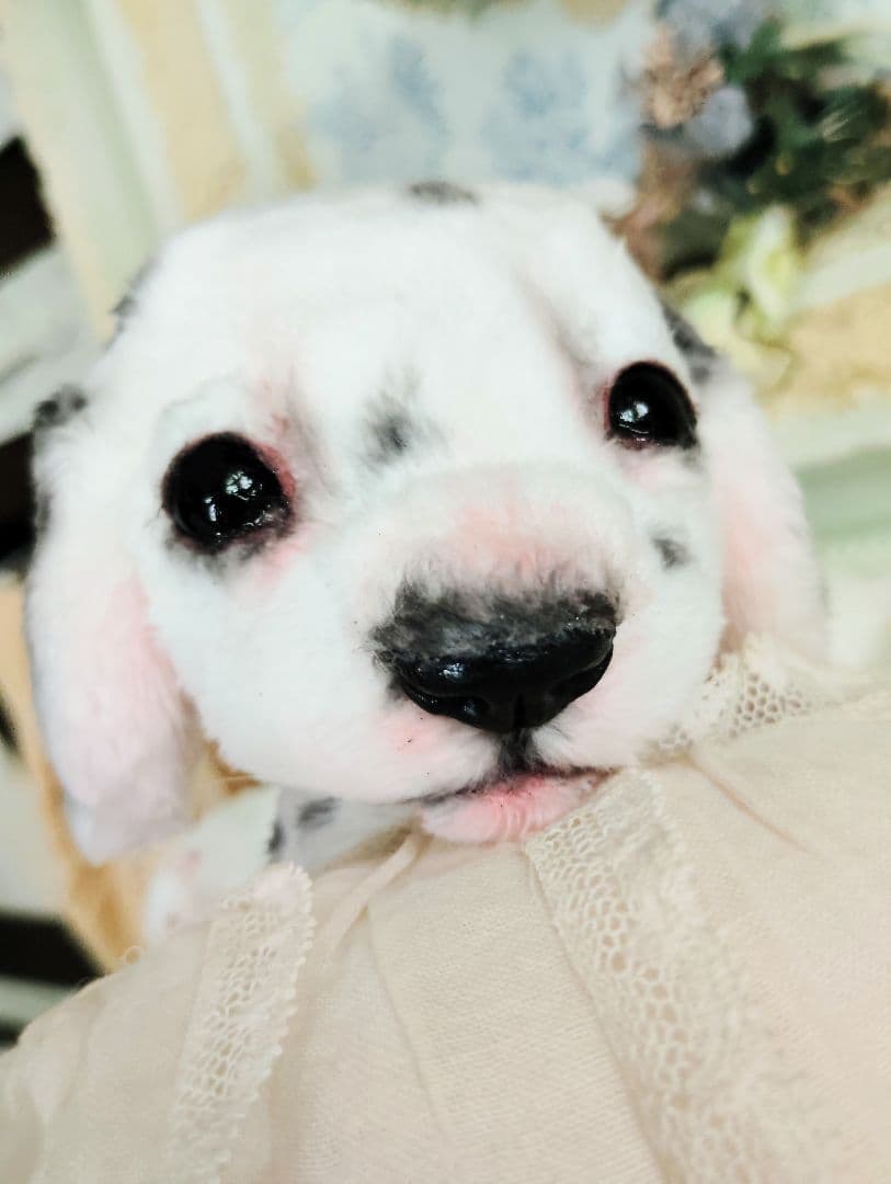 ちびのすけちゃん❤オーダー❤ダルメシアン子犬♡ベビー♡アートドール♡