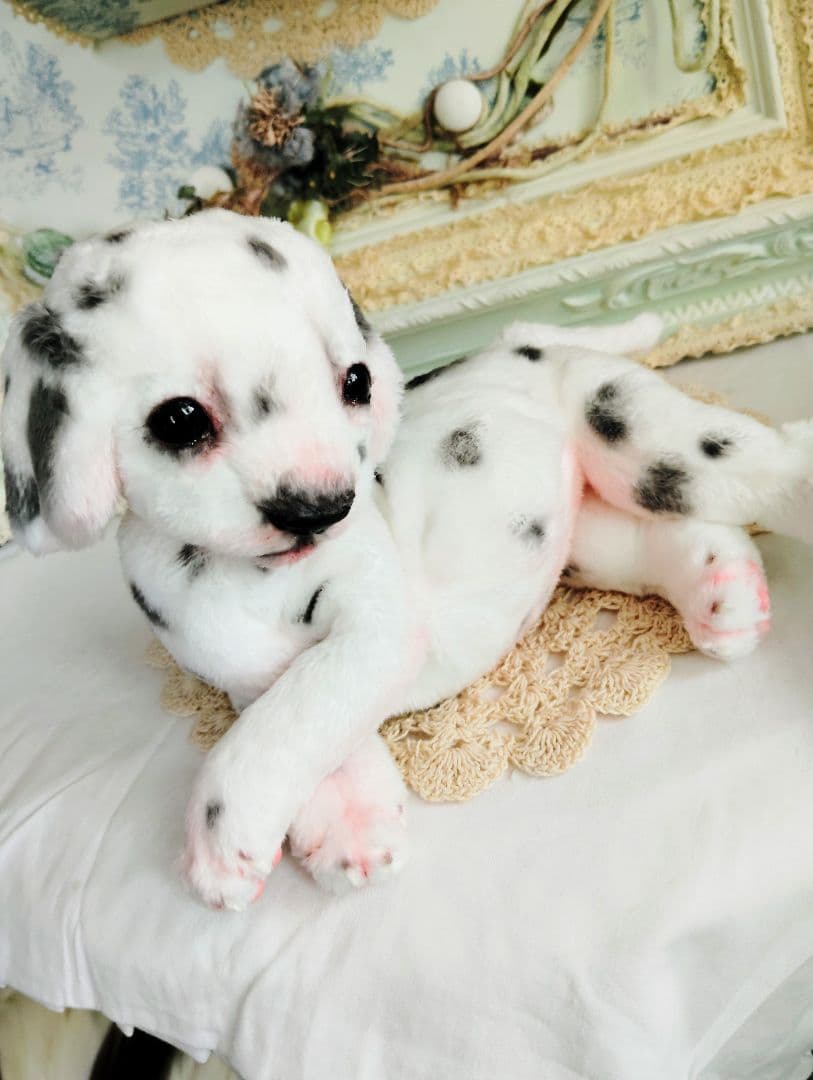 ちびのすけちゃん❤オーダー❤ダルメシアン子犬♡ベビー♡アートドール♡