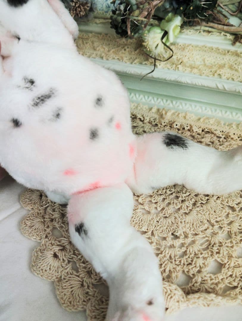 ちびのすけちゃん❤オーダー❤ダルメシアン子犬♡ベビー♡アートドール♡