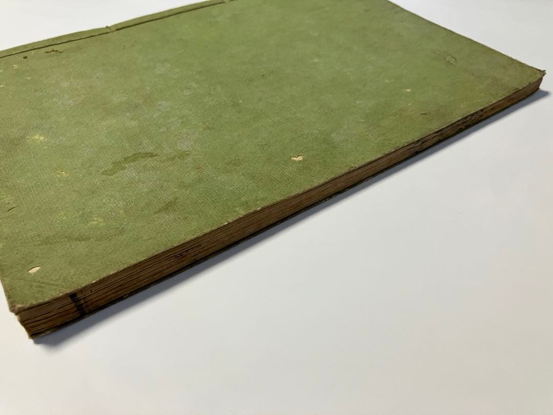 古書　解体新書　の様な、体の構造を描いた本　安政4年