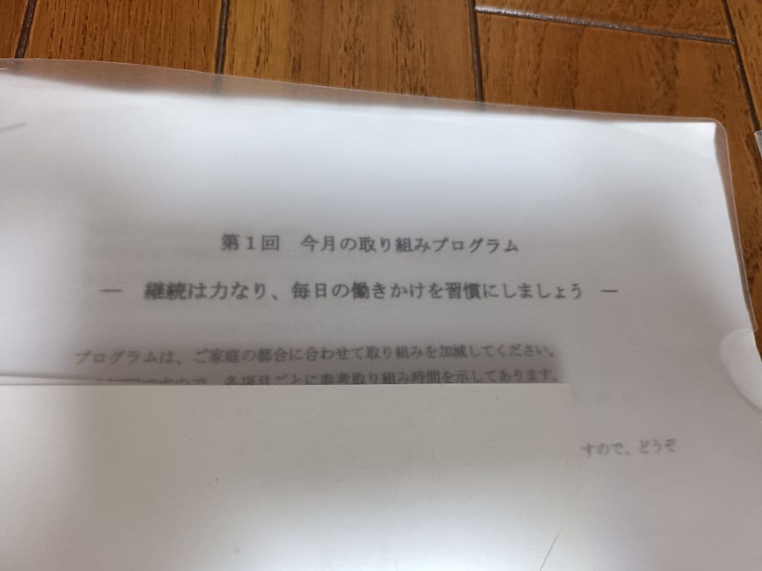 「楽しい育児クラブ」ドッツカード・フラッシュカード
