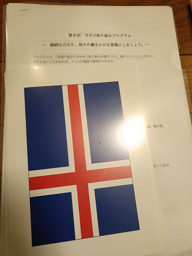 「楽しい育児クラブ」ドッツカード・フラッシュカード