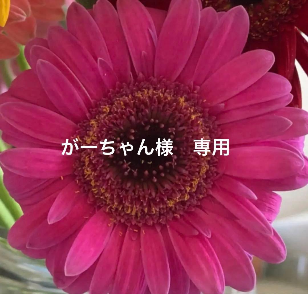 ドクターソワ ☆ 5点セット