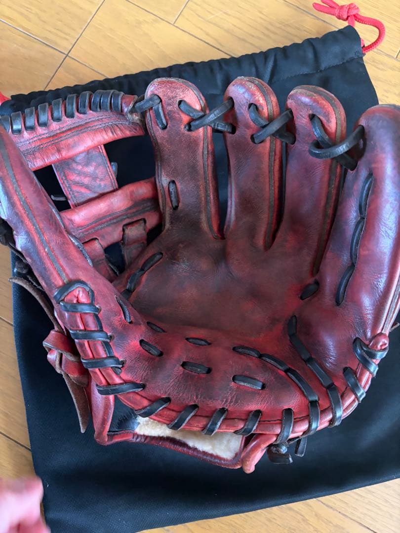 ドナイヤ内野用グラブ