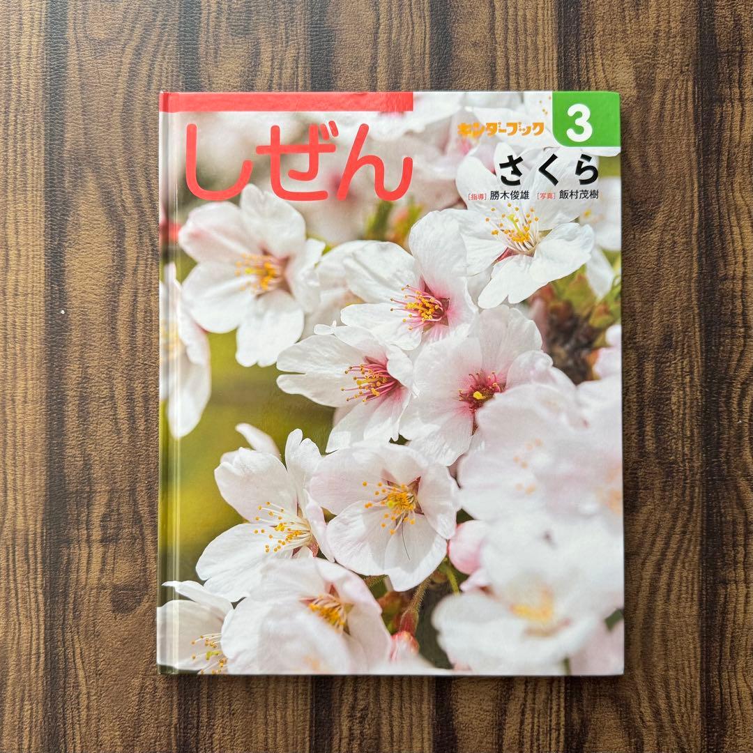 キンダーブックしぜん　さくら　春の花