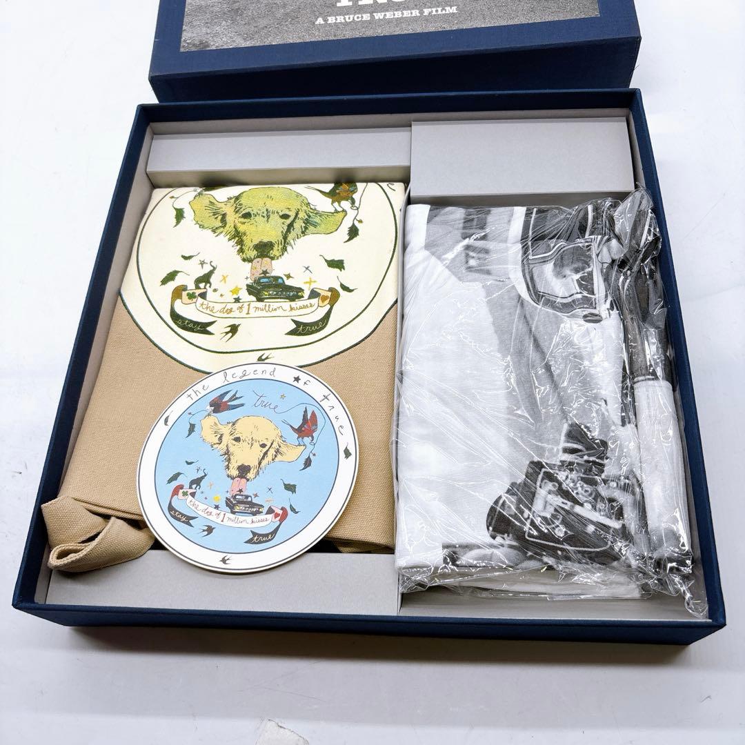 A Letter to True トゥルーへの手紙 コレクターズ・ボックス Z