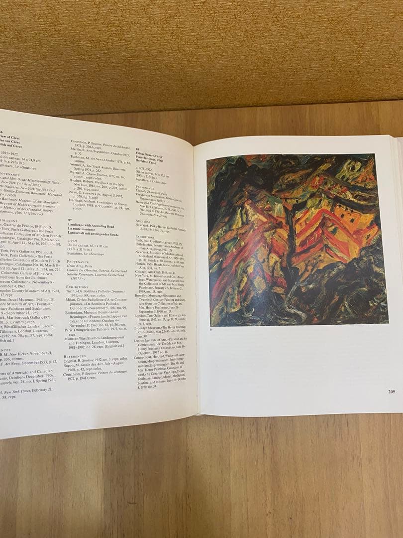 シャイムスーティン 2冊組 カタログレゾネ Catalogue Raisonne