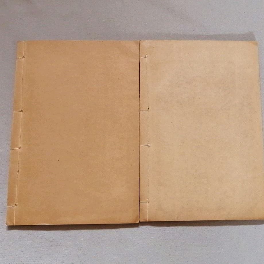 大字断句　註釈漁洋詩話　掃葉山房　民国16年　上下冊揃い