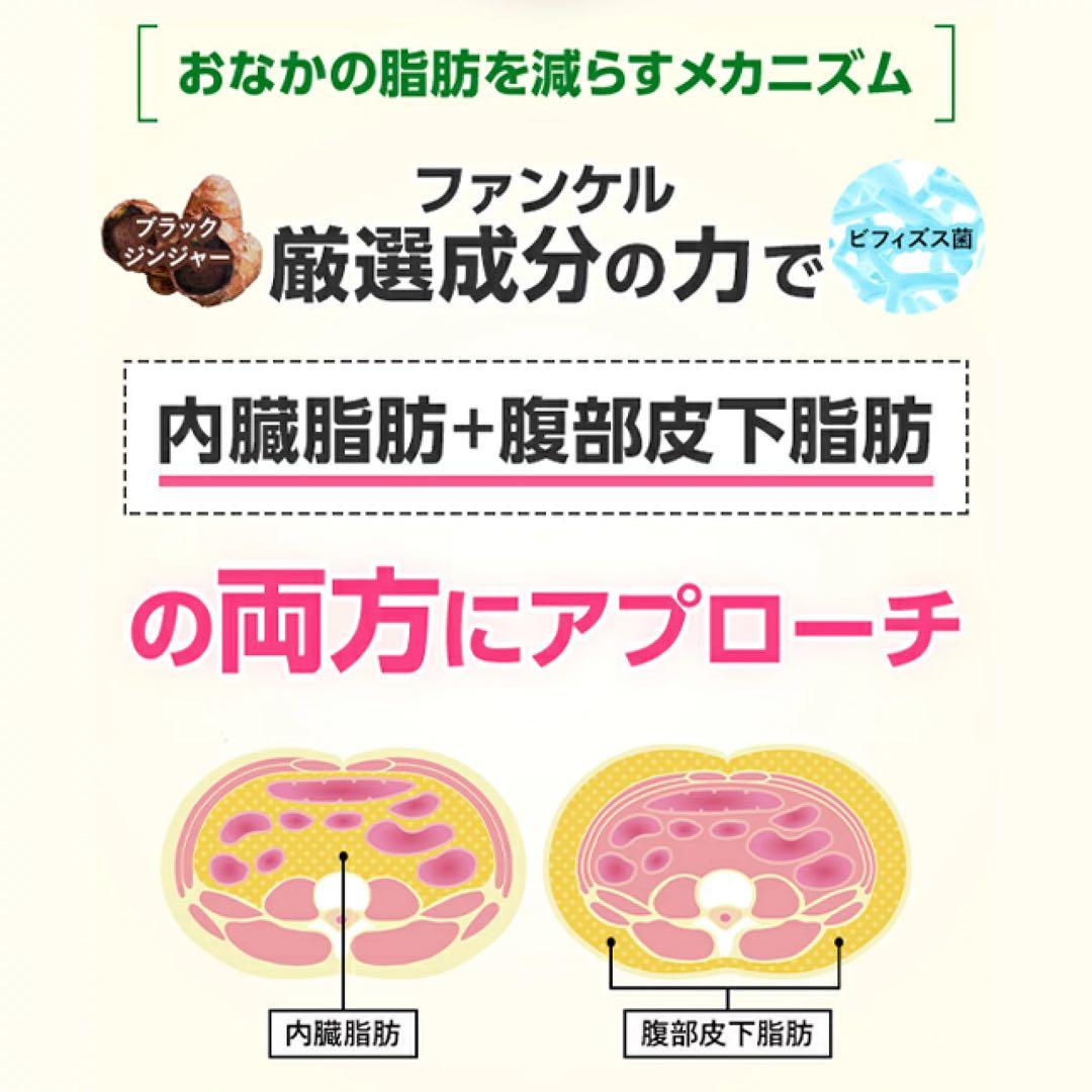 ファンケル 内脂サポート 30日分8袋〈240日分〉