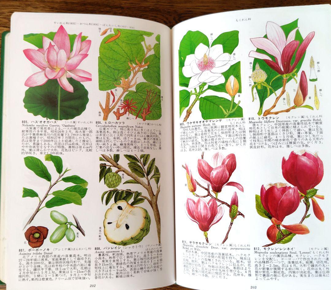 【原色牧野日本植物図鑑 コンパクト版】【原色樹木図鑑】5冊牧野富太郎