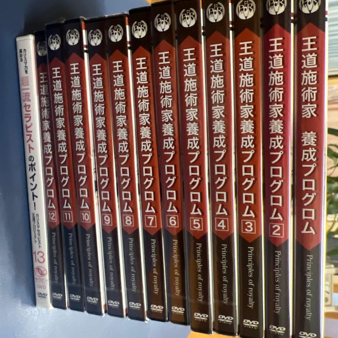 王道施術家養成プログラム DVDセット 1-12巻