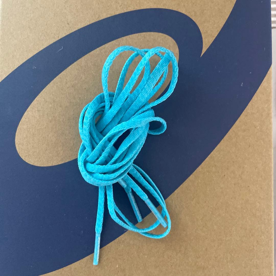 DS LIGHT X-FLY PRO2 26.5センチ